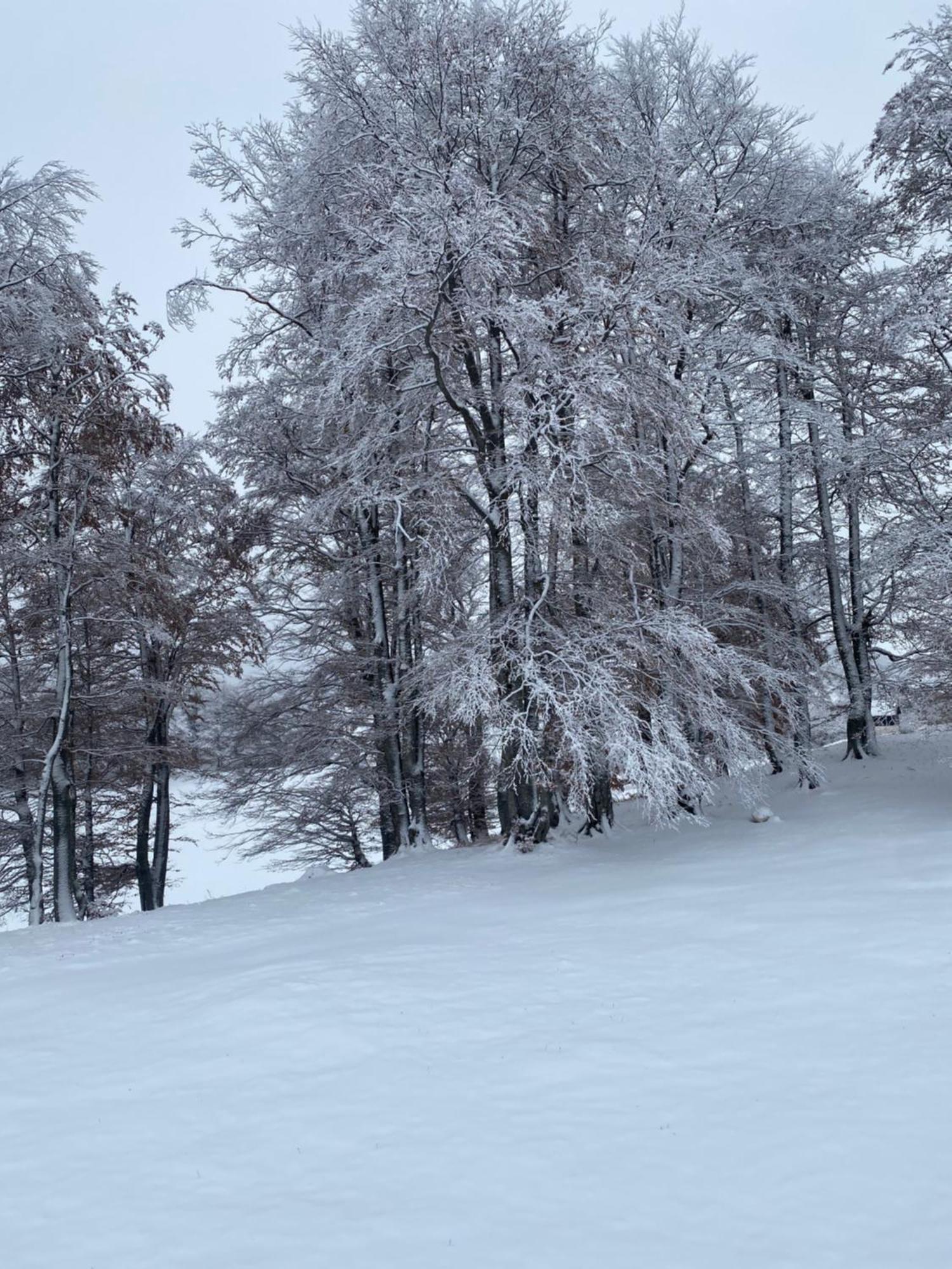 Vikendica Aleksandra Žabljak Εξωτερικό φωτογραφία